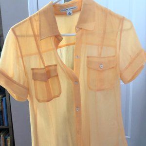 Banana Republic silk, sheer, button up blouse